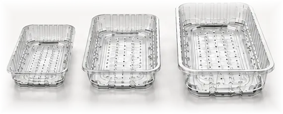 Three stock-format clear PET trays